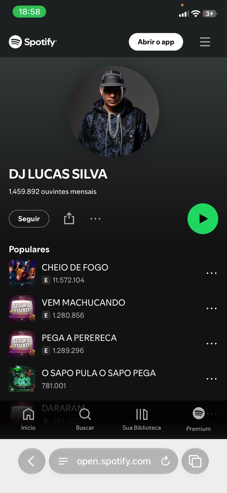 Perfil do DJ Lucas Silva no Spotify, com as músicas populares